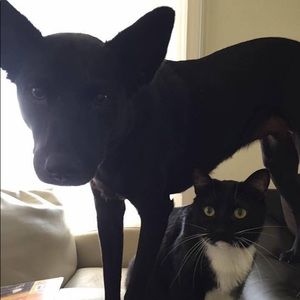 Meet your Posher, Kelly